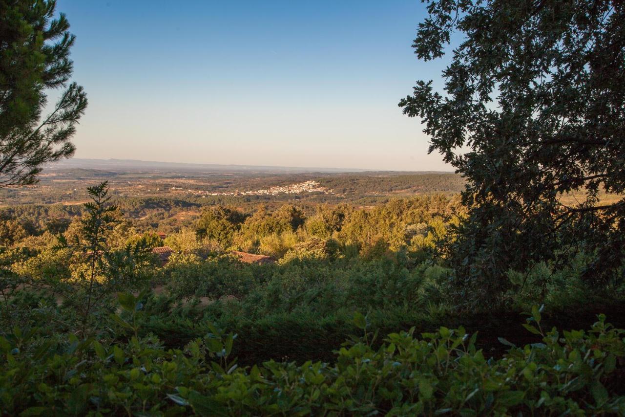 Finca La Sayuela Villa El Raso Luaran gambar